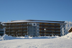 Yllas Chalets A208, Ylläsjärvi